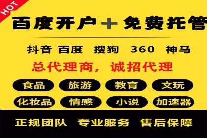 案例分析：百度竞价托管助力行业龙头