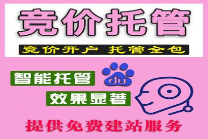 电商行业中的信息流代理策略与效果评估